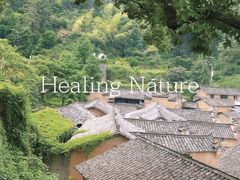 -杨家堂村