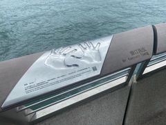 -星光大道