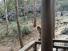 -千岛湖东南湖区