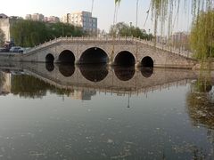 -曹州牡丹园