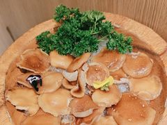 -季季山·云南野生菌火锅(上海首店)