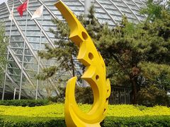-凤凰中心