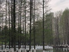 -白塘生态植物园