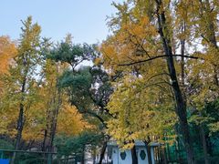 -中山公园
