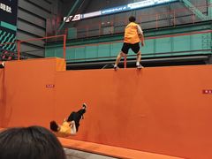 -极限PLAY运动娱乐新世界·团建派对表演休闲馆·室内高空游乐园