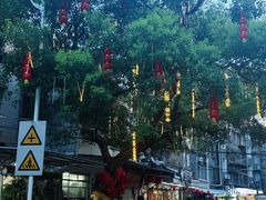 -溪岸路花鸟市场