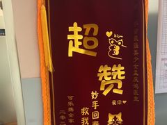 -瑞派申生动物医院·24H夜诊·国际动物医疗中心·骨外科(吴中路店)