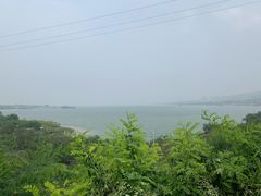 -小赖鱼馆