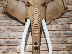 -第六季自助餐厅(北太平庄店)