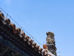 -北陵公园