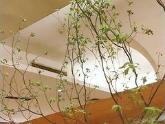 -酣庭院(红松东路店)
