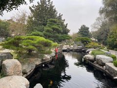 -中国唐苑