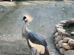 -济南野生动物世界