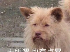 -上海市中医医院(石门路院区)