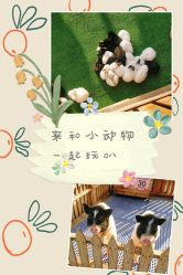 -萌宠亲子动物乐园(槐房万达店)