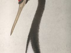 -天津美术学院-校史馆