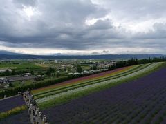 -富田农场