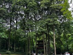 -青城山