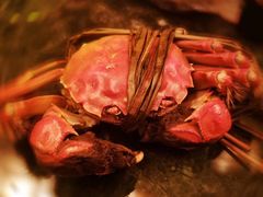 -wann lounge 低温慢煮牛排·清吧