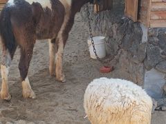 -HERRE·FARM 赫尔露营农场·团建聚会包场