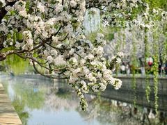 -海棠花溪(元大都城垣遗址公园)