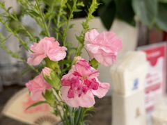 -新侨三宝乐西餐厅(崇文门店)