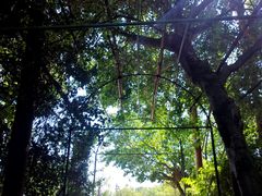 -滴水岩森林公园