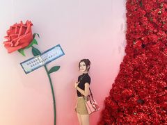 -石狮世茂摩天城摩天轮