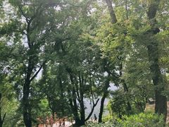 -广州市石门国家森林公园