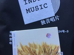 -独音唱片 Indie Music