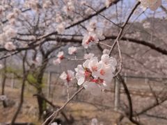 -居庸关长城-2号停车场