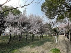 -新洲生态园