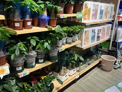 -大润发(花都店)
