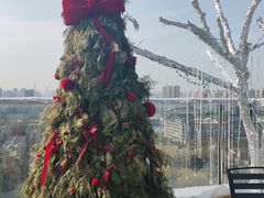 -烛影拾光观景餐厅·创意菜·摄影·小提琴(大唐不夜城店)