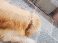 -八木轩·寻味大理白族民俗餐厅(文献路店)