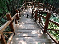 -大岭沟猕猴桃谷风景区
