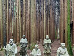 -武陵山森林公园