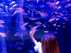 -成都浩海立方海洋公园