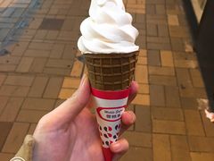 -富豪雪糕车流动点(尖沙咀店)