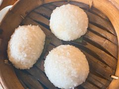 茨毛圆子-双塔老饭店