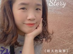 -王借岗森林公园