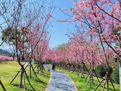 -福建鲤鱼洲酒店