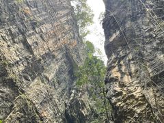 -鹿院坪生态旅游景区