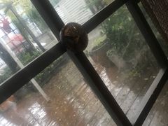 -有才叔的小馆(招商依云曲江店)