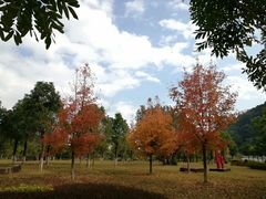 -福州大学(旗山校区)