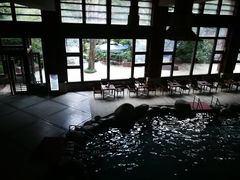 -青城道汤池