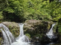 -龙苍沟森林公园