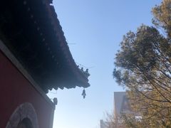 -大钟寺古钟博物馆