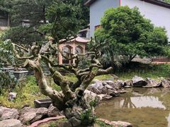 -贵州省植物园