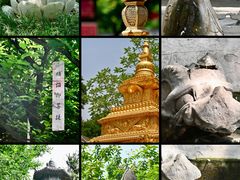 -西安大兴善寺